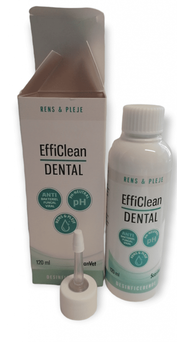 Efficlean Dental 120 ml