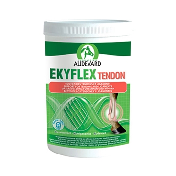 Ekyflex Tendon 600 g